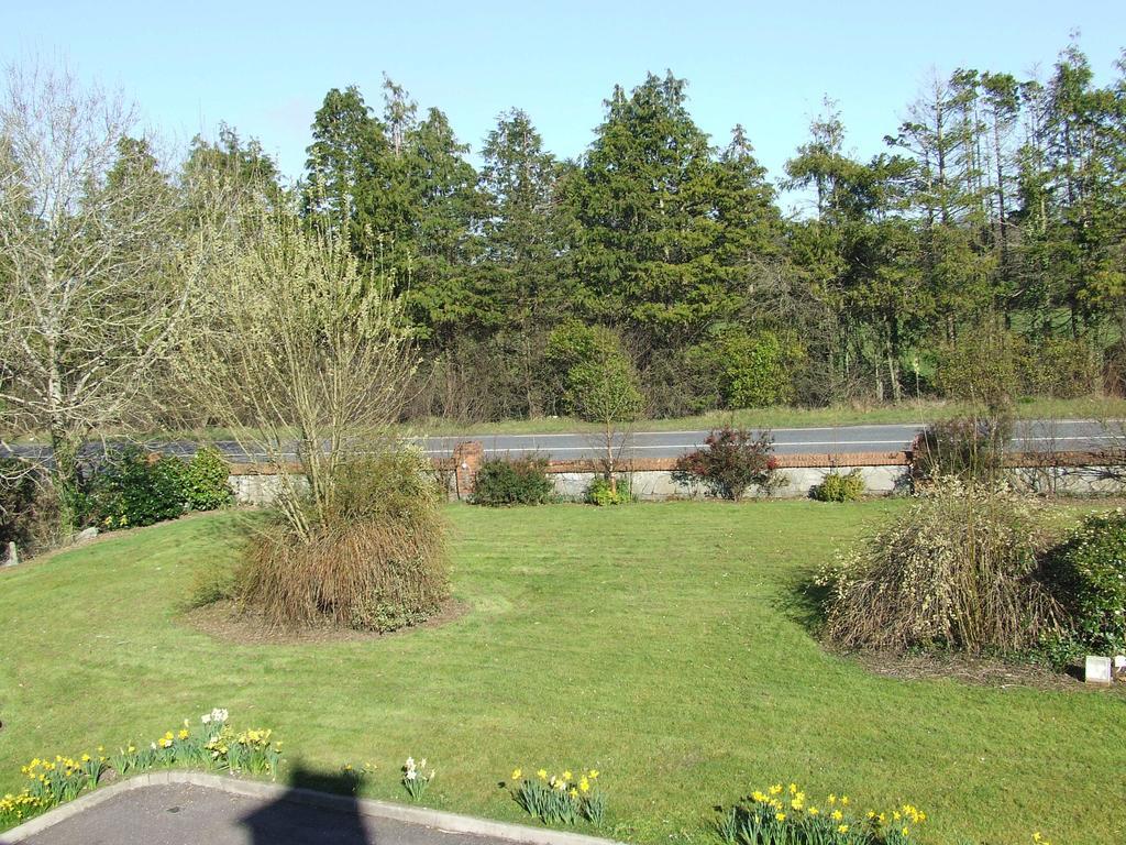 Rockfield House B&B Cill Airne Esterno foto