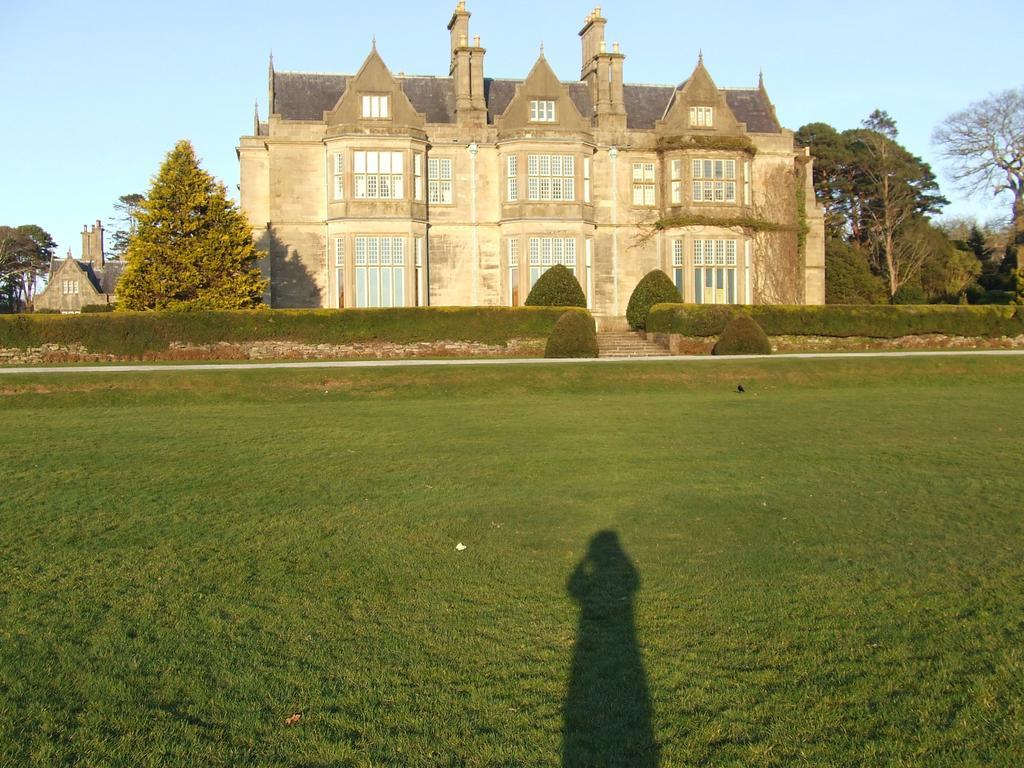 Rockfield House B&B Cill Airne Esterno foto