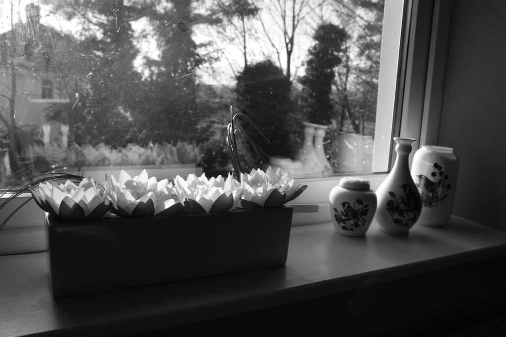Rockfield House B&B Cill Airne Esterno foto